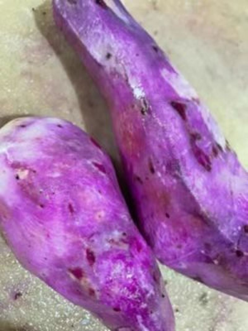 江西安远县凤山紫<font color=red>山药</font>，紫人参，毛薯，