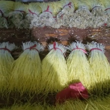 蒜黄 水黄 大量上市 产地直销  质量保证 代发全国