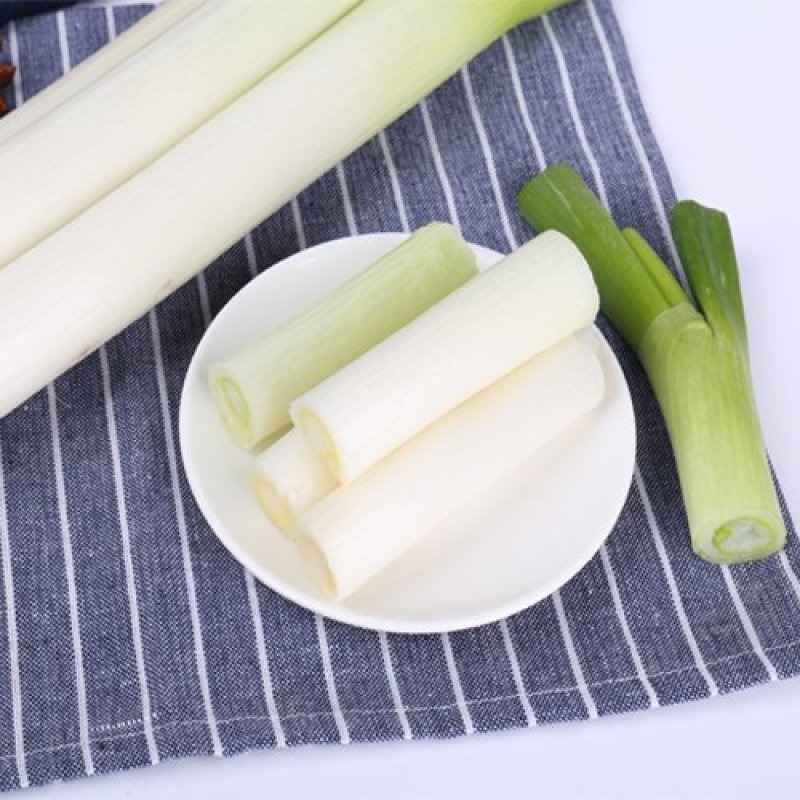 东升花卉苗木基地