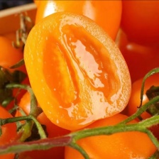 山东费县硬粉<font color=red>西红柿</font>，果形好颜色红，囗