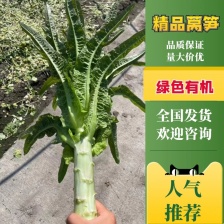 本地青莴笋上市了，好货