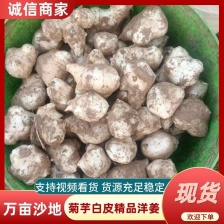 河北洋姜产地，大量供应洋姜，优质精品，货源充足