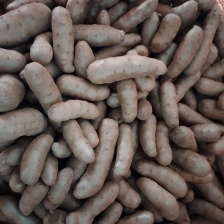 山药豆