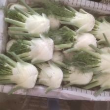 战友蔬菜代收代卖