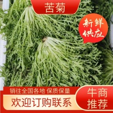 新民二德子蔬菜代收