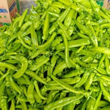 杭椒，牛椒，线椒，螺丝椒，小米椒，各种椒类