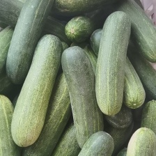 【甄选】顶花密刺黄瓜青瓜条直瓜顺油亮精品产地直发