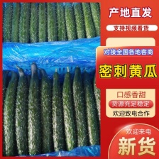 【甄选】顶花密刺黄瓜青瓜条直瓜顺油亮精品产地直发