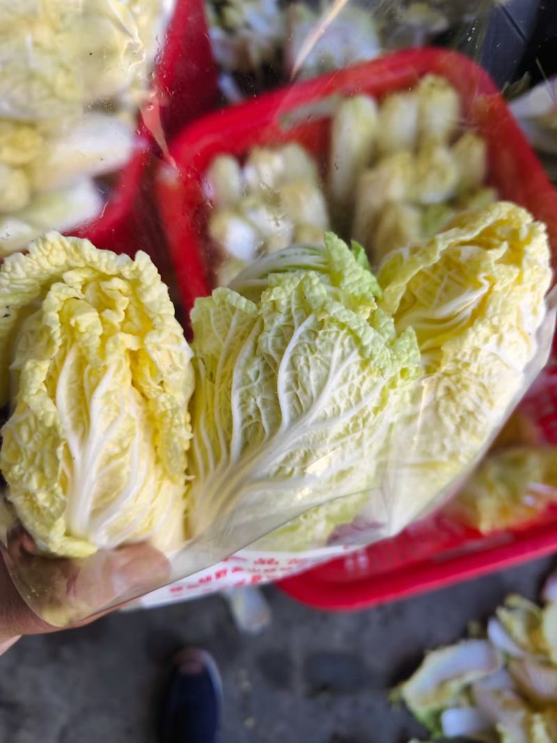 李云龙果蔬购销