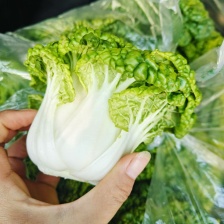 黄心乌，黄心菜，大量上市，自有基地品质保证，一件代发！