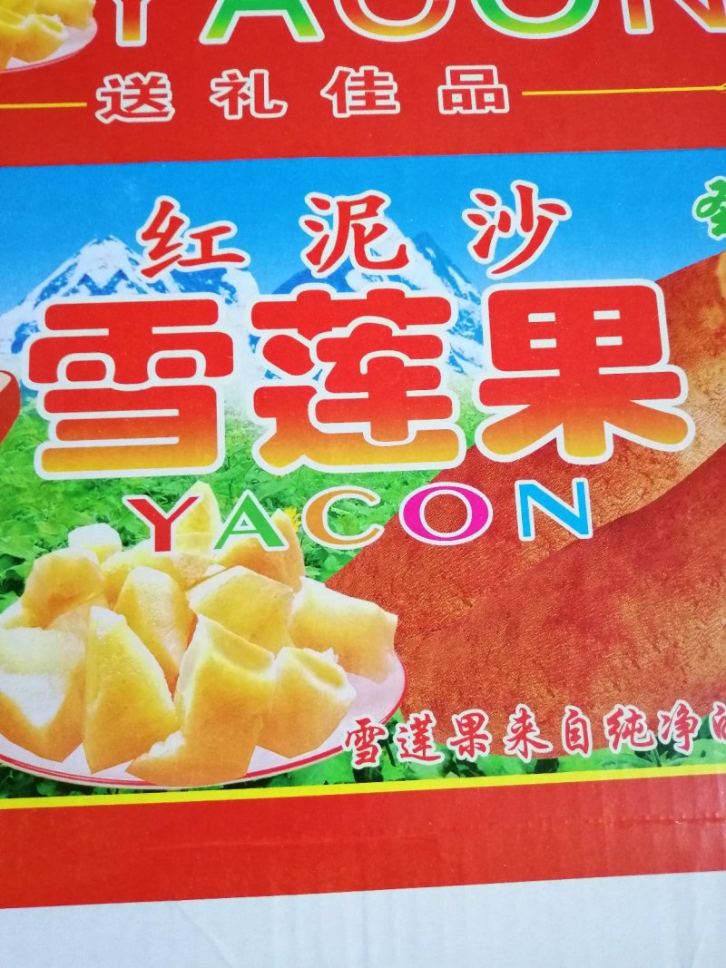 25年雪莲果新果上市了一件代市场精品货全年供应