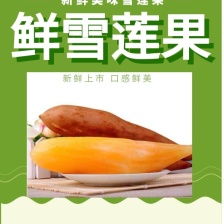 2022雪莲果产地直供