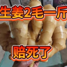 红芽姜 鲜姜风干姜 大小黄姜 生姜按需加工价低