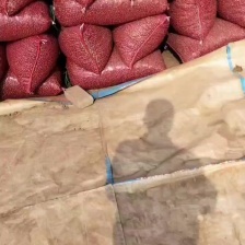 【<font color=red>山药</font>豆】河北小白嘴<font color=red>山药</font>豆 品种多 