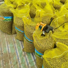 【山药豆】河北小白嘴山药豆 品种多 规格全 产地直发