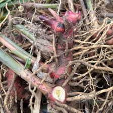 聚盛福农产品店