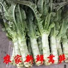 顺意蔬菜代办