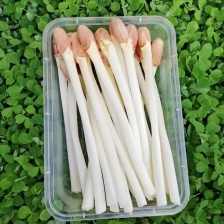 上海精品花生芽基地直发 货源充足 供应全国 欢迎咨询！