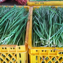 【北京菜质量】一手货源，产地直发 武汉菜 电商货 都有