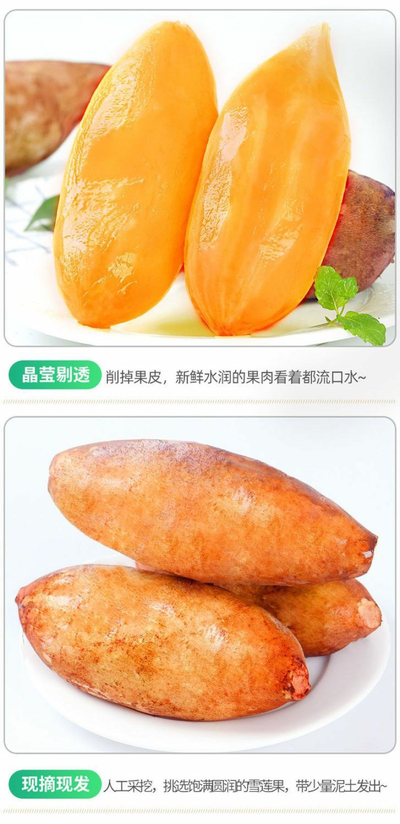 云南天山雪连果当季孕妇新鲜水果黄心红心整箱批发雪连果