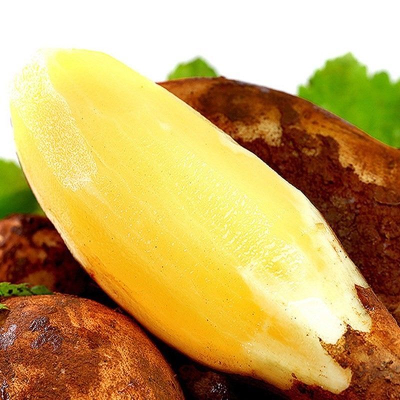 云南天山雪连果当季孕妇新鲜水果黄心红心整箱批发雪连果