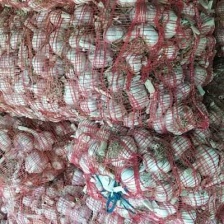 （实力供货）紫皮蒜 储存量大 诚信度高，量大从优 大量供应