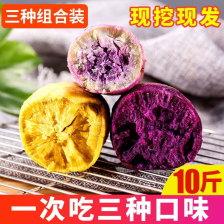 19高淀粉红薯，西瓜红，烟薯25.大量供应，