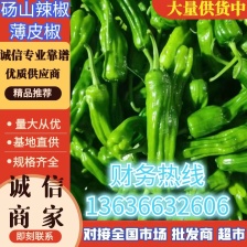 【江苏红椒】精品红椒 供应电商 商超 市场 全国发货 欢迎