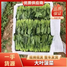 万丰果蔬农副产品购销配送