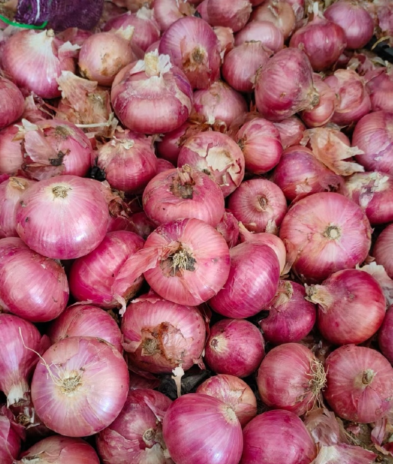 《红皮洋葱》二红洋葱 基地直供 现货供应 量大从优 全国代发