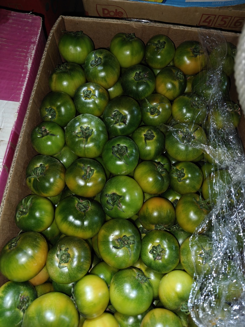 辽宁草莓西红柿产地直发一手货源量大价优欢迎老板致电咨询