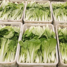 聊城多多蔬菜代办