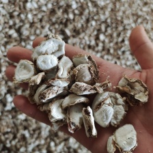 现挖沙姜，月底开售，