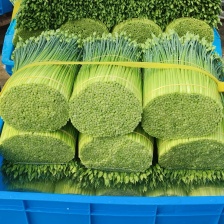 万亩耐寒韭苔韭菜韭苔基地对接各大市场和电商平台诚信合作，