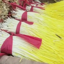 【精选蒜黄】山东济南基地直供 质量保证 货源充足 全国发货