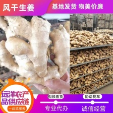 姜母 姜巴 姜头 电商平台 食堂餐饮