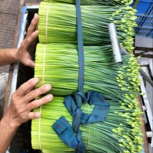 荣昌精品紫苏叶韭菜苔直发