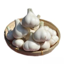 〔精选〕大蒜，新鲜白皮大蒜，大量上市。扒皮蒜可视频看货