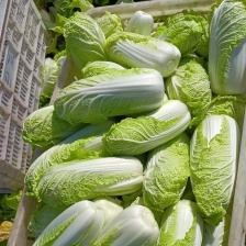 宜城市钰涵家庭农场