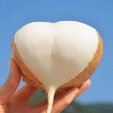 涂金元果蔬代购