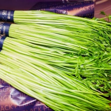 江苏精品<font color=red>芹菜</font>，小香芹 一手货源 量大
