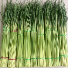 张文生电商基地