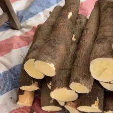 广西面包木薯黄肉木薯，白肉木薯