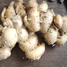 精品沙姜，有货，价格实惠