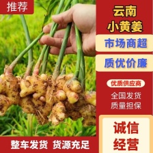 【实力】 生姜 色黄味辣 块大肥厚 规格全 月子姜 黄姜