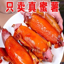 商薯19大量出货，量大价优