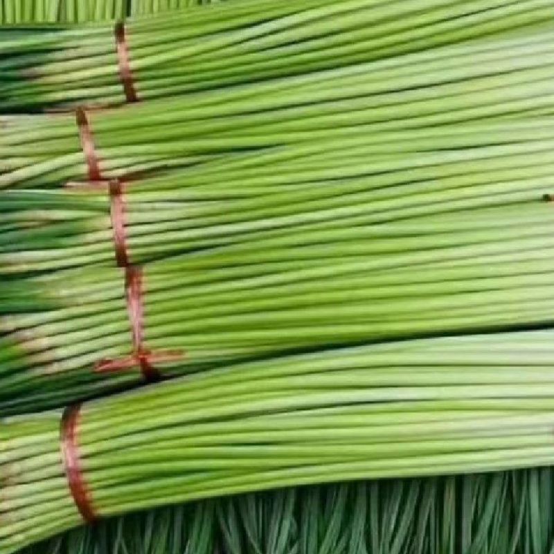 山东蒜苔，精品红帽蒜薹，可加冰走车，对接各大电商平台商超