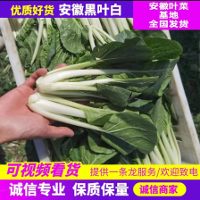 奶白菜