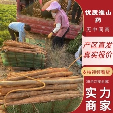 【山药】巴中精品铁棍山药 质量无忧 口感软糯 欢迎选购