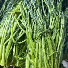 江苏东台雪里红大量上市了，40公分到60公分现货供应